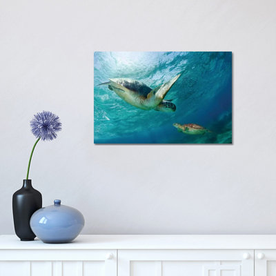 Contact 1 Piece Wrapped Canvas Wall Art