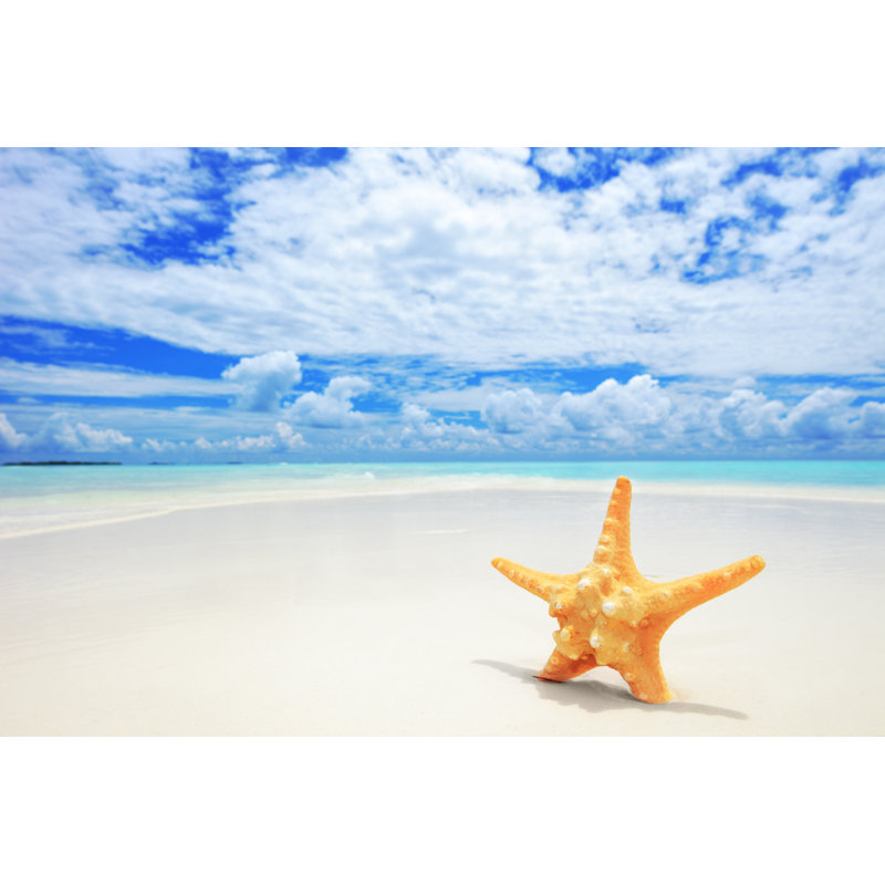 Starfish On Beach by Ljupco - Wrapped Canvas Print, 30cm H x 46cm W x 3.8cm D