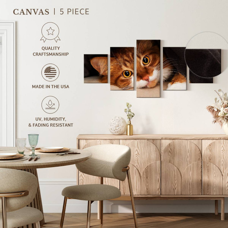 Chat douillet, H 36 po x l 80 po