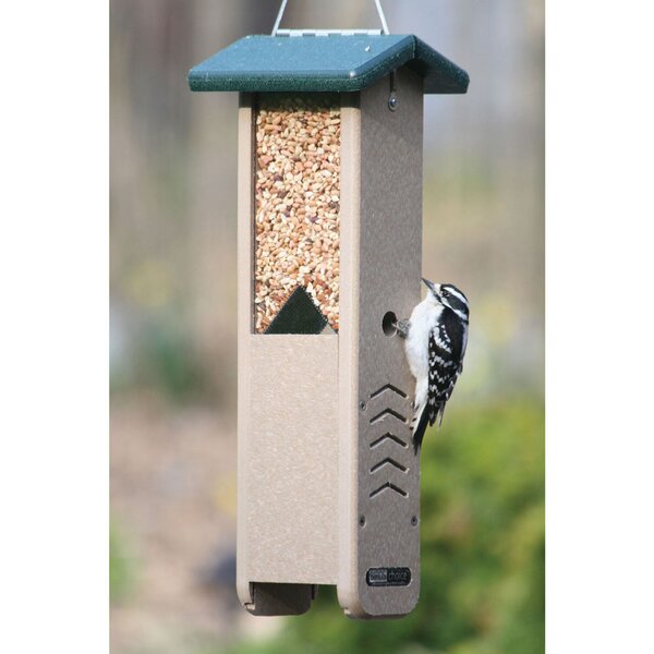 Birds Choice Hanging Hopper Bird Feeder & Reviews 