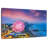 Nicci Myrtle Beach Lights-108872068
