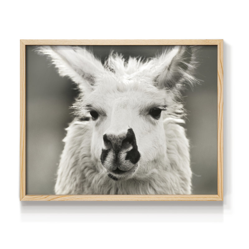 Let's Chat -Framed Print - Restickable, 8" H x 10" W, Natural