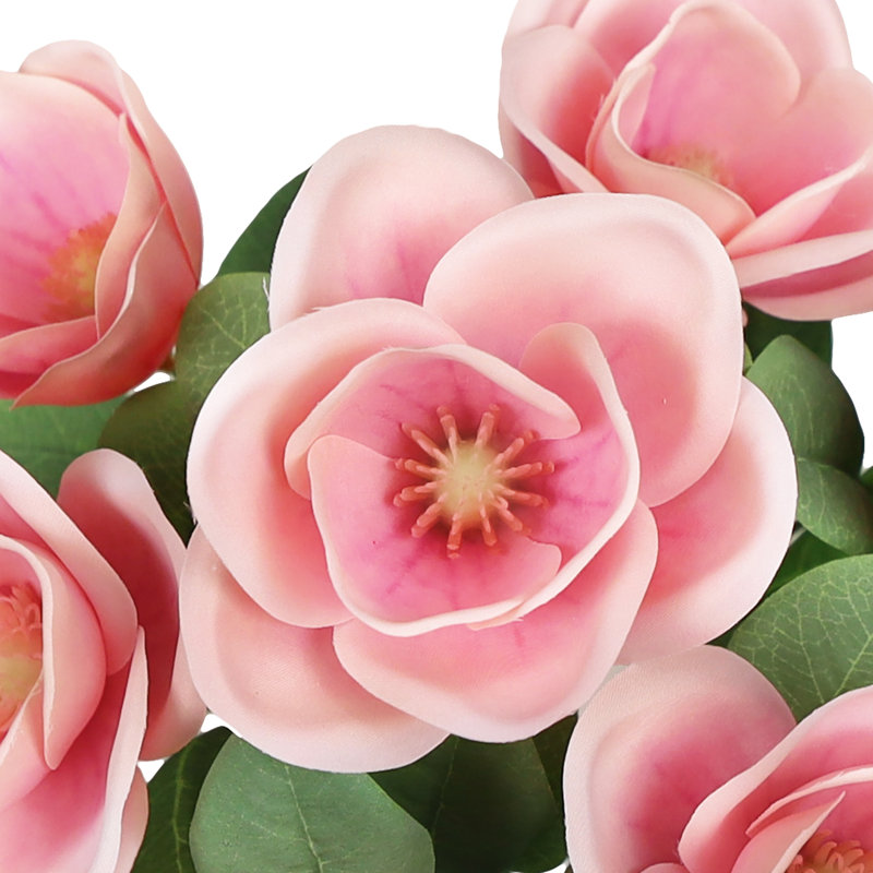 Magnolia, Rose fuchsia