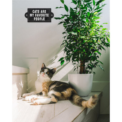 Signe «Cats Are My Favorite People»