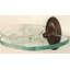 Soap Dish-5222220