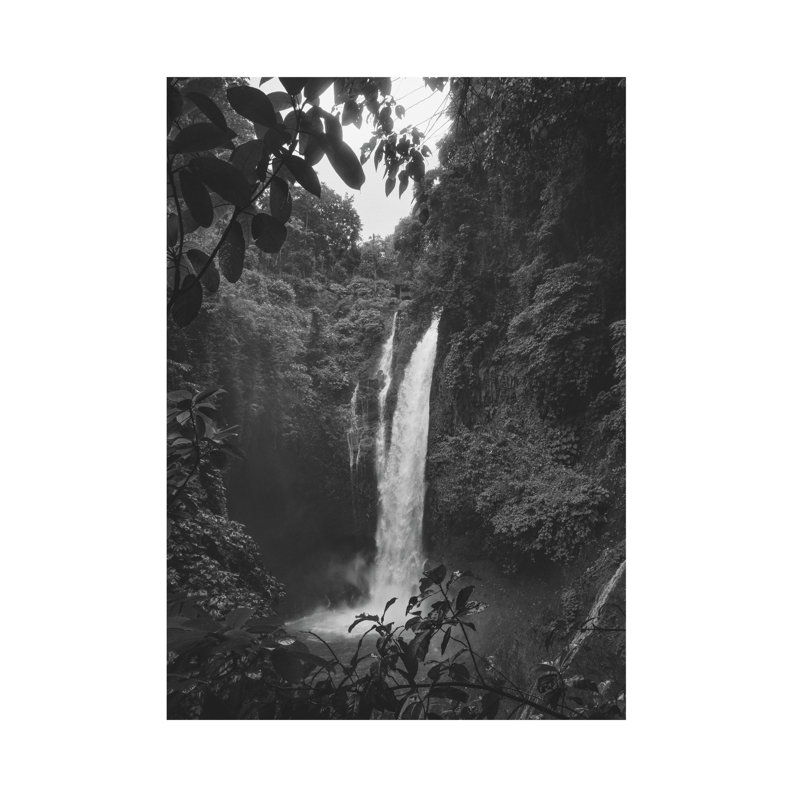 Olson 2.8m x 2m Matte Wall Mural