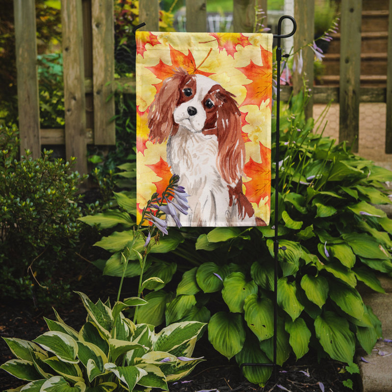 Automne 2 côtés en polyester 15 x 11 po drapeau de jardin, Épagneul cavalier Blenheim