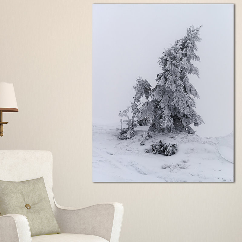 «Grayscale Valley in Frost», reproduction de photo sur toile tendue, H 40 po x l 30 po x P 1 po