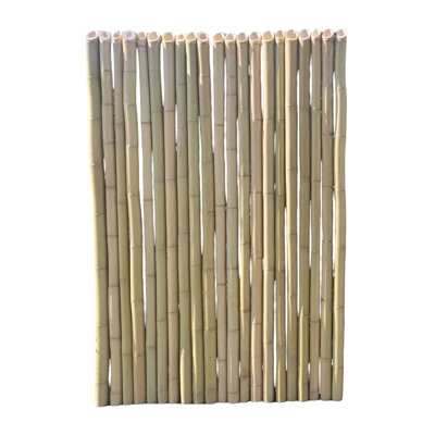 Clôture en bambou Spear Top