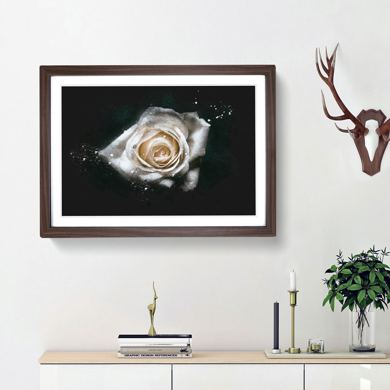 A White Rose - Picture Frame Graphic Art Print, 60cm H x 91cm W x 2cm D, Walnut Framed