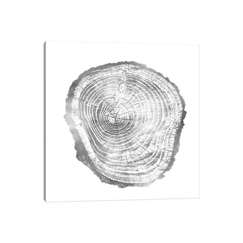 Timber Silver III by Danielle Carson - Wrapped Canvas Print, 30.48 cm H x 30.48 cm W