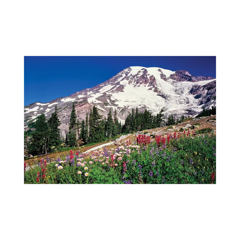 Summer Wildflowers Bbloom in Paradise Park Below Mr. Rainier, Mt. Rainier National Park, Washington, USA 1 Piece Wrapped Canvas Wall Art