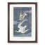 Lesser Tern Birds by John Audubon - Picture Frame Painting Print-55617628-55617627