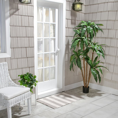 6' UV Potted Dracaena Marginata Tree