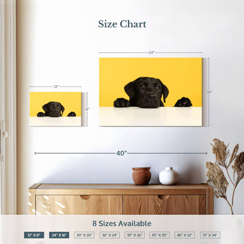 Cute Black Lab, 16" H x 24" W