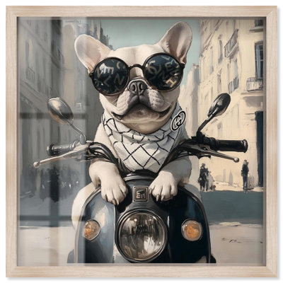 Frenchie on a Scooter Drive Shadowbox Print Cute Wall Decor by Art Remedy