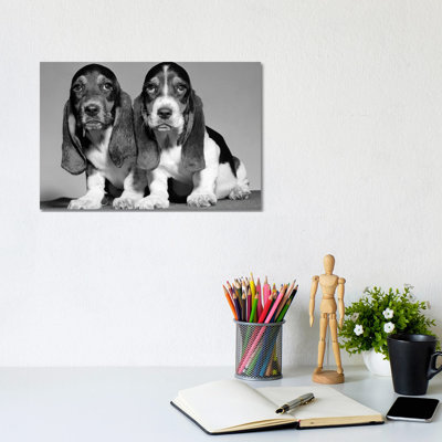 1960s Pair Of Basset Pups Sitting Shoulder-To-Shoulder Looking At Camera by Vintage Images - No Frame Gallery-Wrapped Canvas Giclée on Canvas