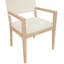 Vina Vegan Leather Dining Arm Chair-74330768-74330856