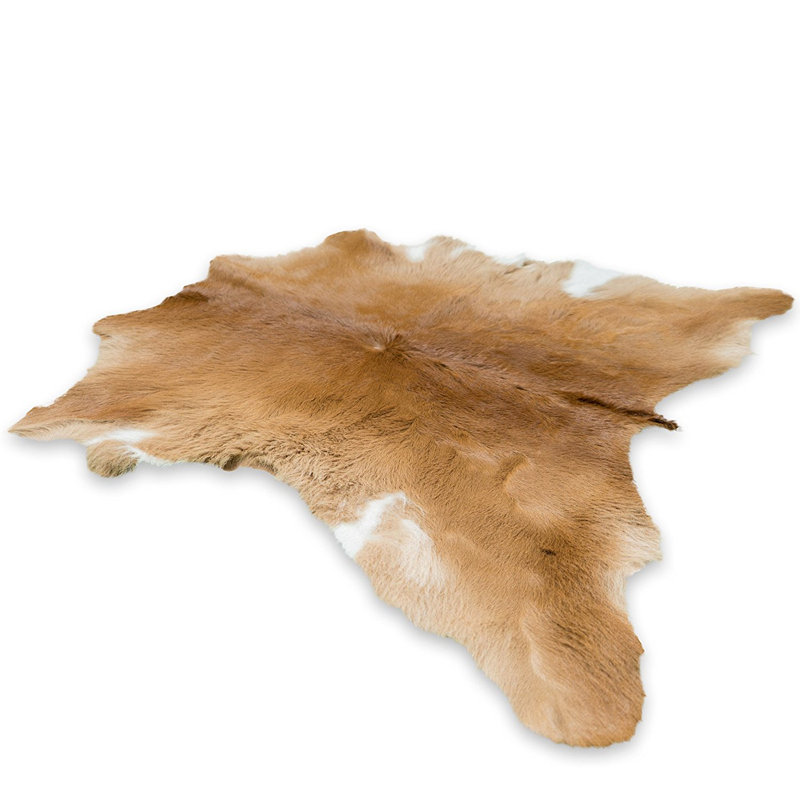 Amoll Cowhide Indoor Rug