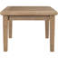 Eucalyptus d'extérieur Signature Design par Ashley Gerianne