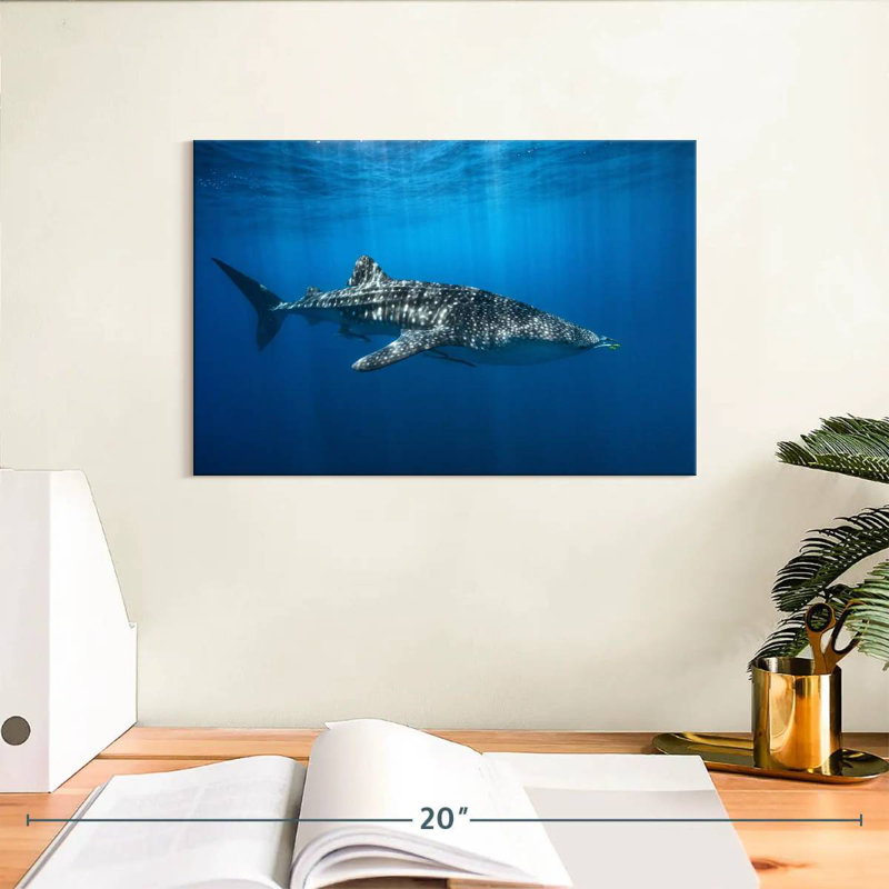 Brampt Whale Shark In The Blue, 8" H x 12" W