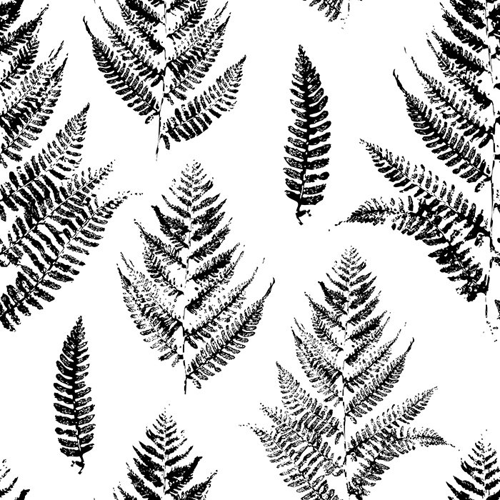 Zuria 2.5m x 1.04m Matte Mural, 312 x 219cm