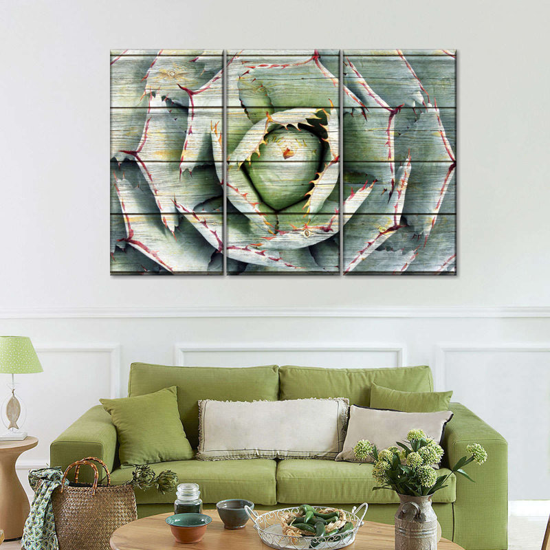 «Succulent Rustic Agave», ensemble de 3 reproductions sur toile par AppleWood Designs, H 36 po x l 57 po