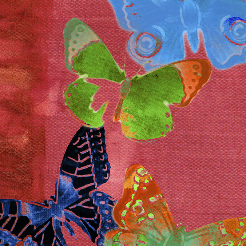Papillons saturés I, H 20 po x l 20 po x P 1,25 po