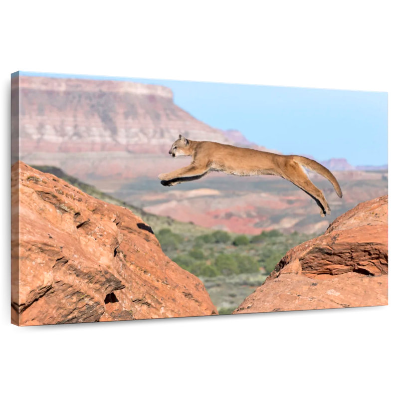 Brampt Mountain Lion, 16'' H x 24'' W