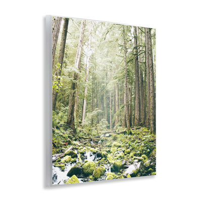 Verdant Forest Glow Wilderness Wall Plaque, design by Leah Straatsma