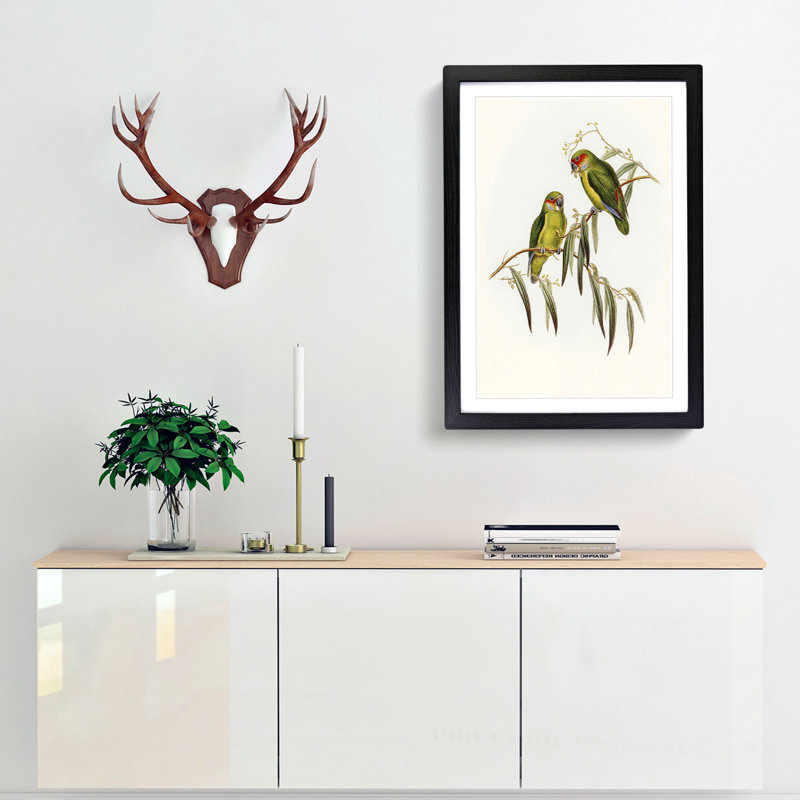 Coxen's Parakeets by Elizabeth Gould - Picture Frame Painting Print, Black Framed, 65cm H x 48cm W x 2cm D