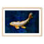 Butterfly Koi - Picture Frame Photograph on Paper -87885697-87885700