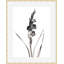 Flora Noir 3 Framed Print-1939877024