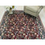 Tapis floral délicat multicolore en laine noué à la main noir, vert, bleu