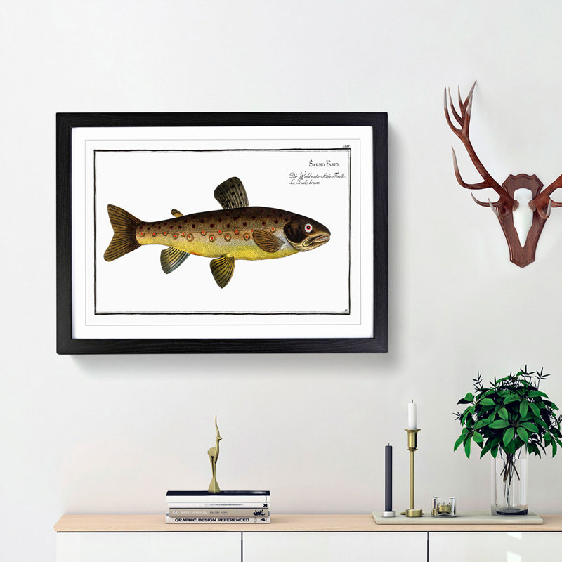 The Brown Trout Fish by M.E. Bloch - Picture Frame Art Print, Black Framed, 36cm H x 48cm W x 2cm D