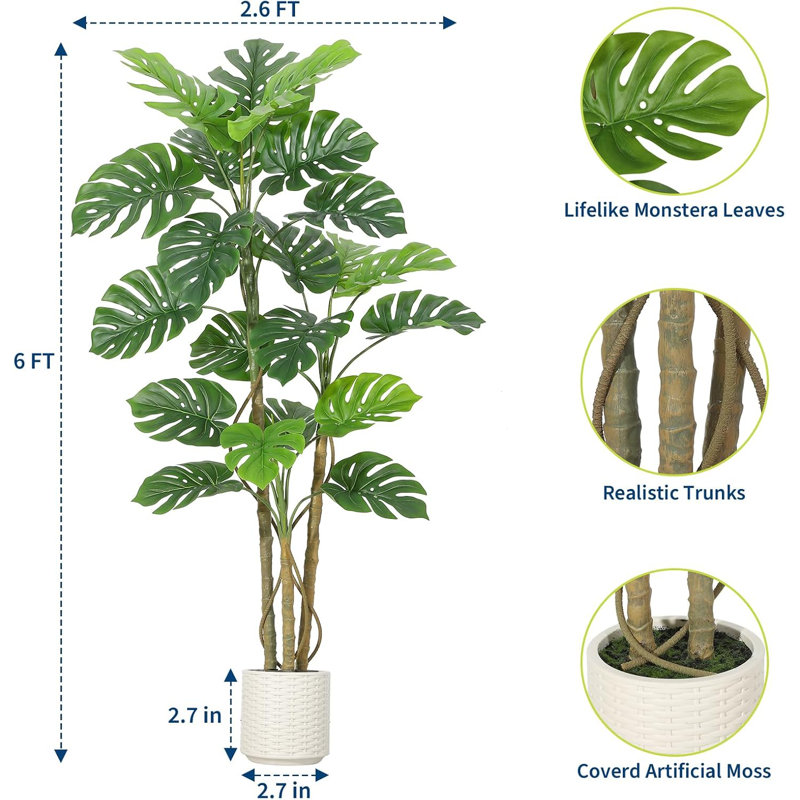 180cm Plant