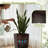 2-piece Premium Imitation Rattan Plastic Planters With Drainage Holes, Tall Planter Pots For Indoor & Outdoor Use-1342837611-1342837610