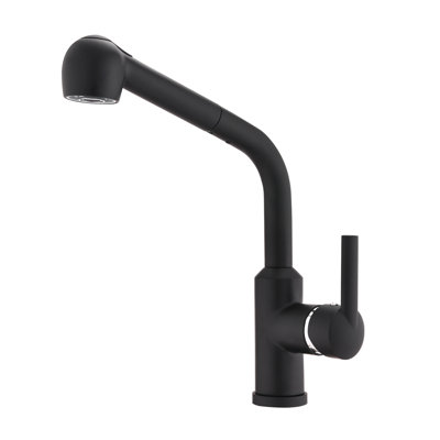 DORNBERG Pull Out Kitchen Faucet