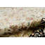 Chantel Oriental Area Rug