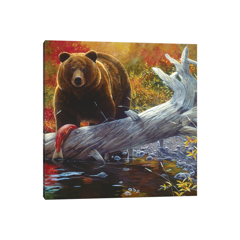 Grizzly IX by Jan Martin Mcguire - Wrapped Canvas Gallery-Wrapped Canvas Giclée, 30.48 cm H x 30.48 cm W
