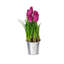 Arrangement floral de tulipes en pot