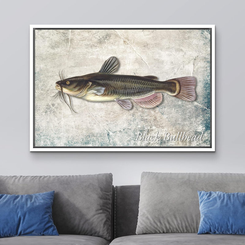 Fish " Black Bullhead Fish On Granite Background Marine Life Animals Realism Nautical Ultra ", 24" H x 36" W x 1.5" D