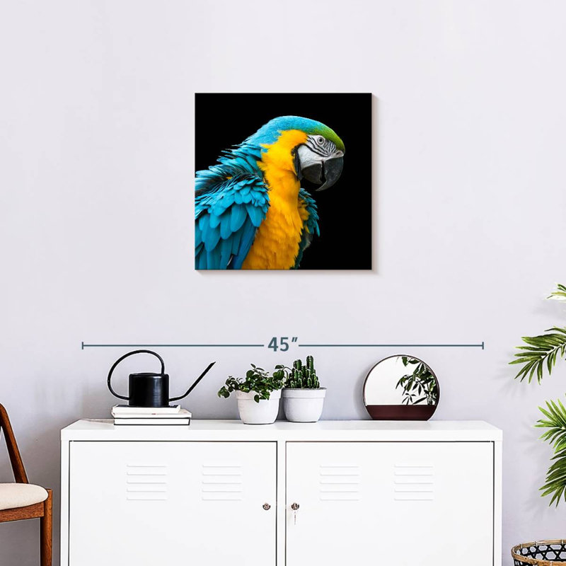 Crowle Charming Macaw, 20" H x 20" W