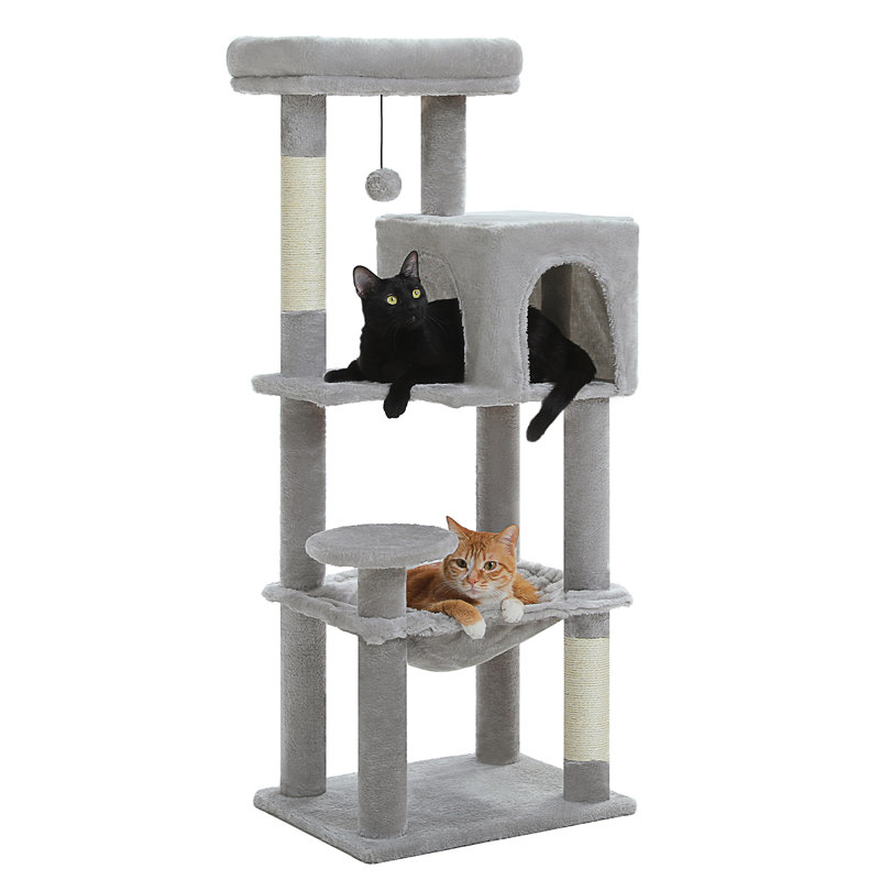 Arbre à chat, Gris