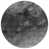 Gray selected