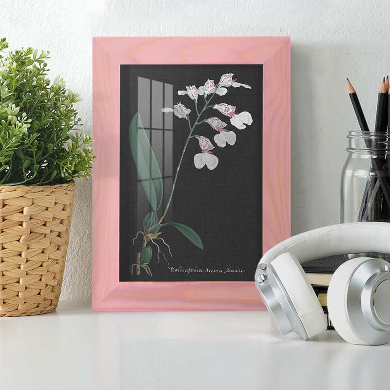 Orchidée sur ardoise VI - impression d'un seul cadre photo, H 6 po x l 4 po x P 1 po, Rose