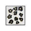 Gilded Camellias-2071638411