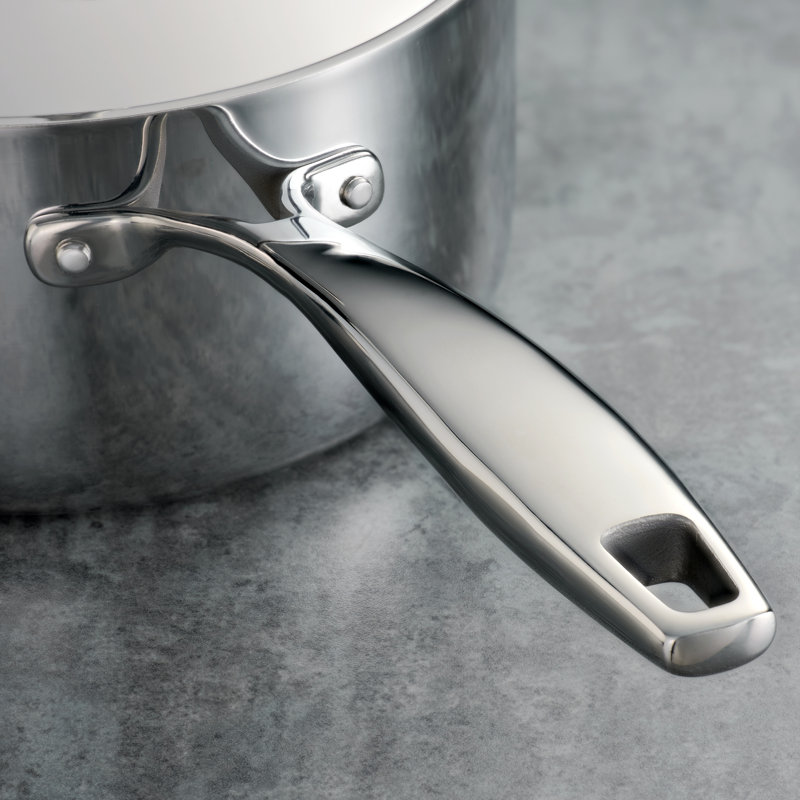 10-Piece Stainless Steel Tri-Ply Clad Cookware Set