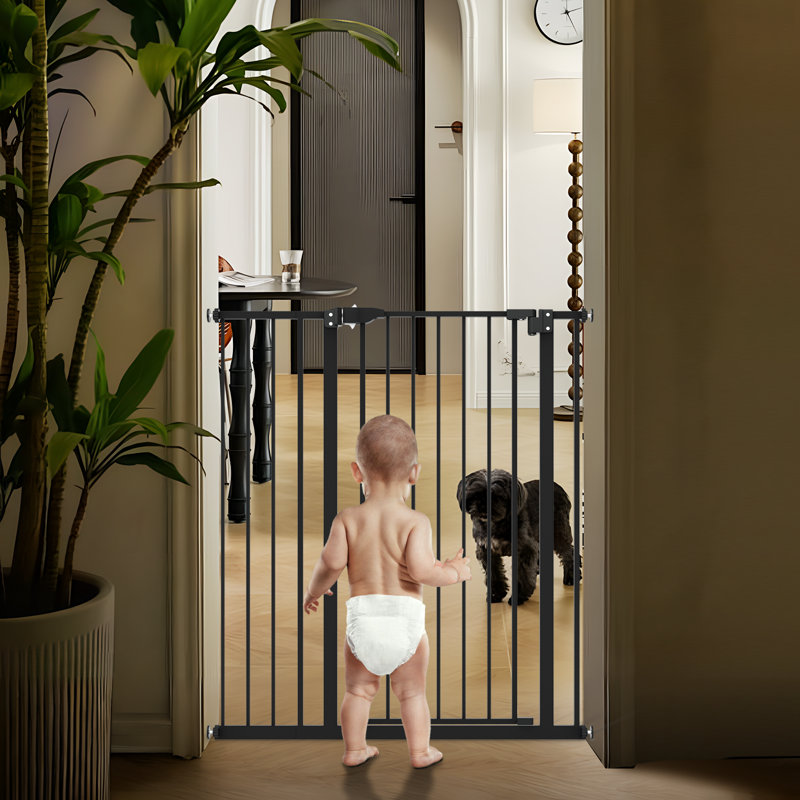 Barrière pour chien, Noir
