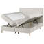 Upholstered Divan Bed-470207735-470207729